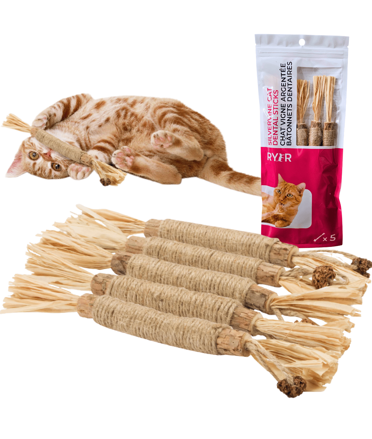 RYERCAT Silvervine Cat Dental Sticks