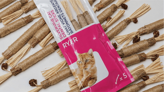 A pack of a RYERCAT Silvervine Dental Stick as a natural enrichment activity.