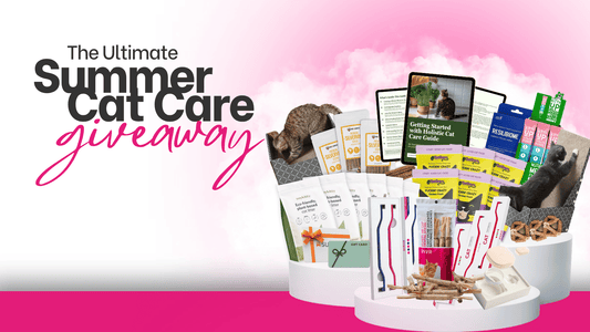 Ultimate Summer Cat Care Giveaway with cat dental care, litter, food, wellness, and enrichment prizes.