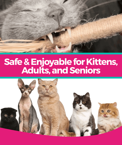 RYERCAT Silvervine Cat Dental Sticks (Canada)