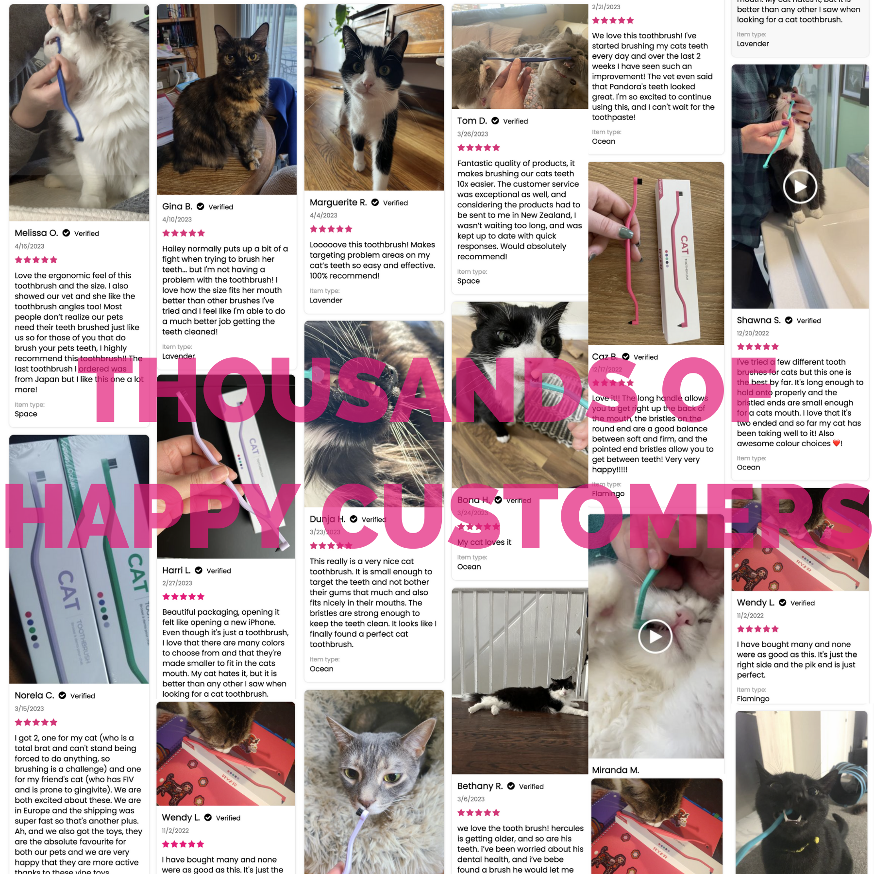RYERCAT Dual Sided Cat Toothbrush