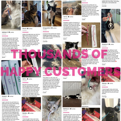 RYERCAT Dual Sided Cat Toothbrush (United Kingdom)