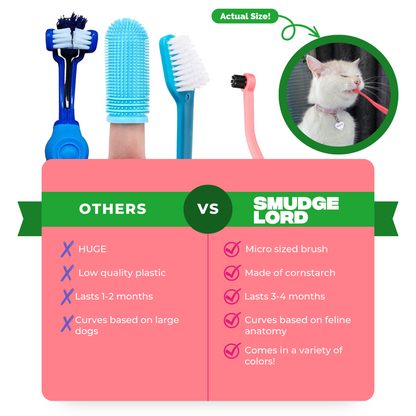 SMUDGELORD TOOTHBRUSH