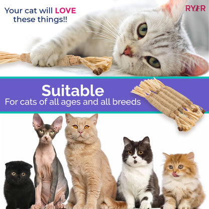 RYERCAT Silvervine Cat Dental Sticks (United Kingdom)