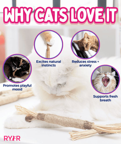 RYERCAT Silvervine Cat Dental Sticks (Canada)