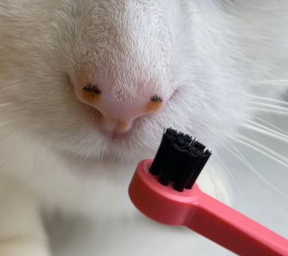 SMUDGELORD TOOTHBRUSH
